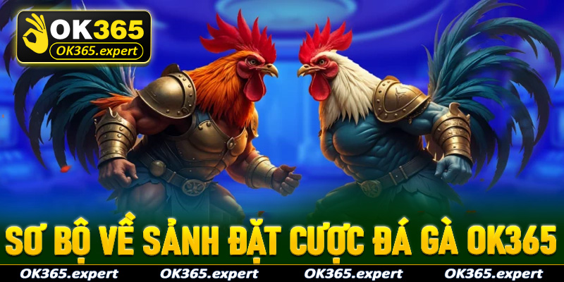 Khám phá sơ bộ về sảnh đặt cược đá gà OK365