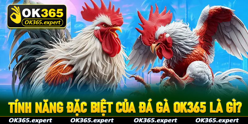 Những tính năng đặc biệt giúp sảnh đá gà OK365 thu hút khách hàng là gì?