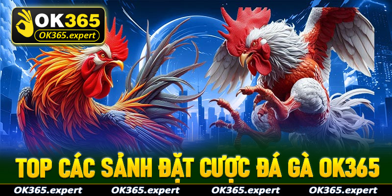 Giới thiệu top các sảnh đặt cược đá gà OK365 vô cùng lôi cuốn