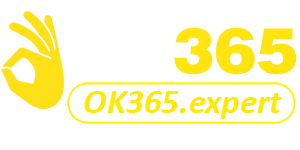 ok365.expert